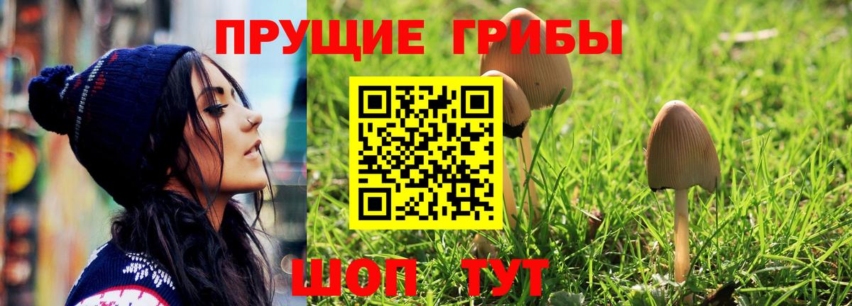 Чистополь  Псилоцибиновые грибы Psilocybe  Псилоцибиновые грибы Magic Shrooms  Вход с VPN 