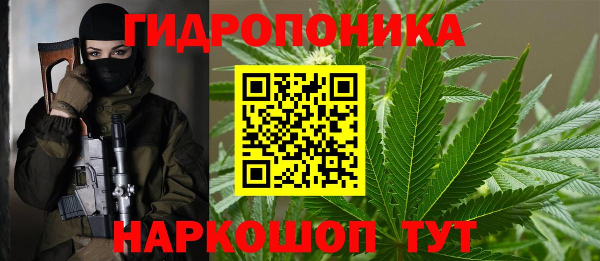 Марихуана марихуана  Бошки марихуана семена  Чистополь  Бошки Шишки план  Шишки марихуана гибрид  Вход с VPN 